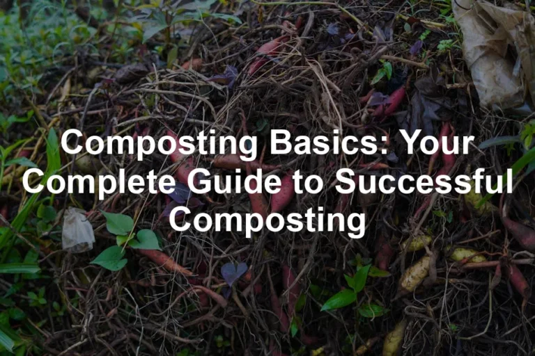 Featured image for Composting Basics: Your Complete Guide to Successful Composting