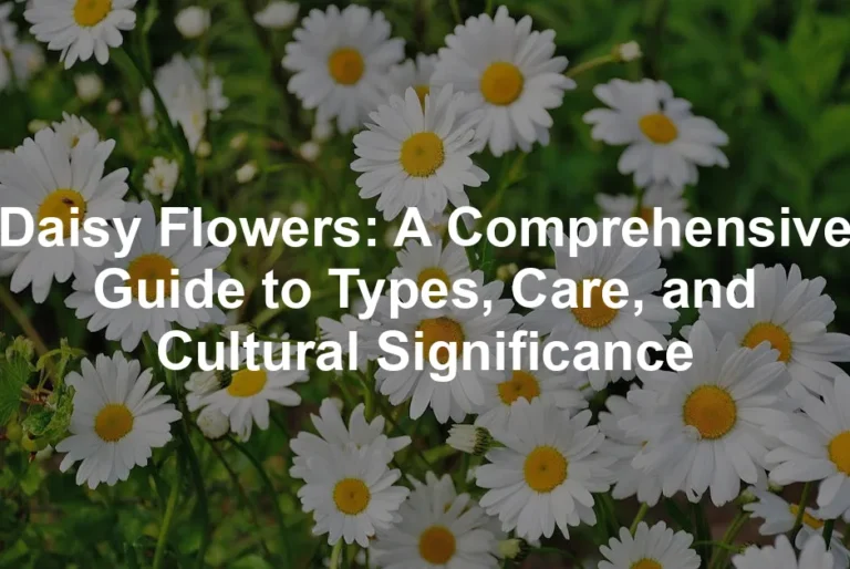 Featured image for Daisy Flowers: A Comprehensive Guide to Types, Care, and Cultural Significance