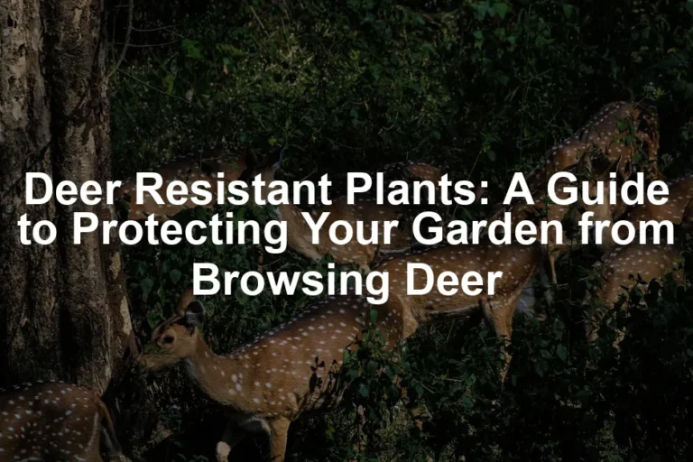 Featured image for Deer Resistant Plants: A Guide to Protecting Your Garden from Browsing Deer
