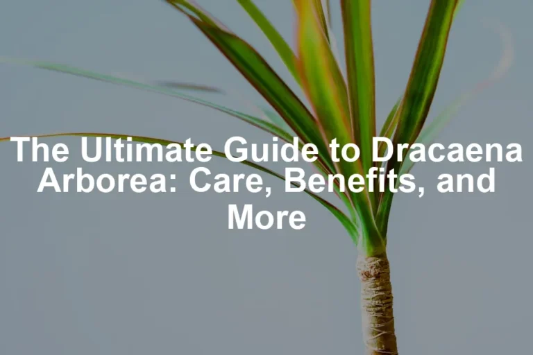 Featured image for The Ultimate Guide to Dracaena Arborea: Care, Benefits, and More