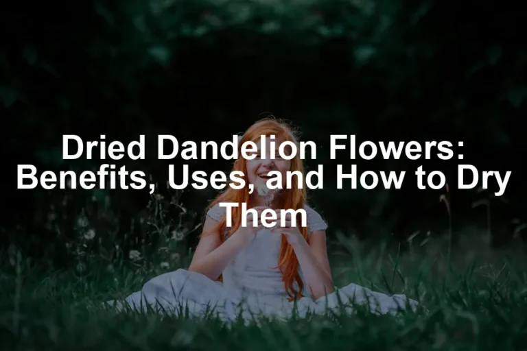 Featured image for Dried Dandelion Flowers: Benefits, Uses, and How to Dry Them