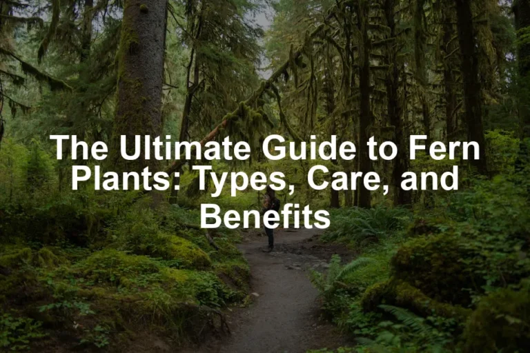 Featured image for The Ultimate Guide to Fern Plants: Types, Care, and Benefits