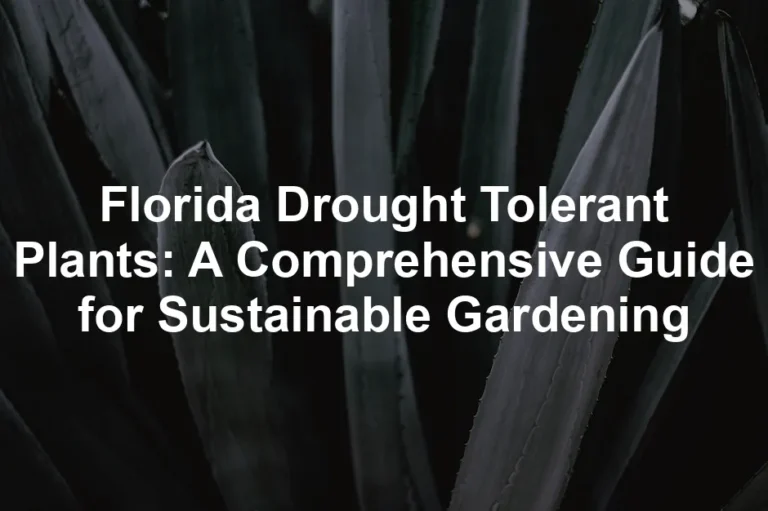 Featured image for Florida Drought Tolerant Plants: A Comprehensive Guide for Sustainable Gardening