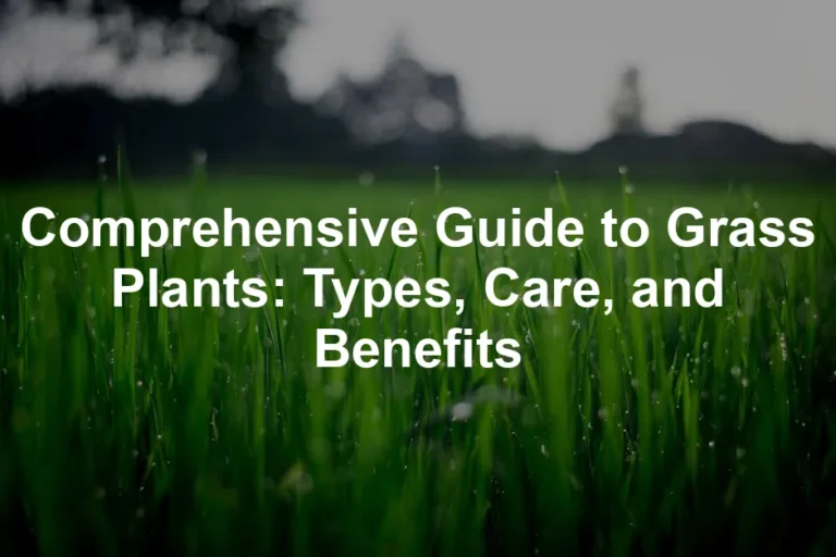 Featured image for Comprehensive Guide to Grass Plants: Types, Care, and Benefits