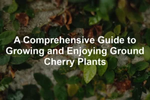 Featured image for A Comprehensive Guide to Growing and Enjoying Ground Cherry Plants