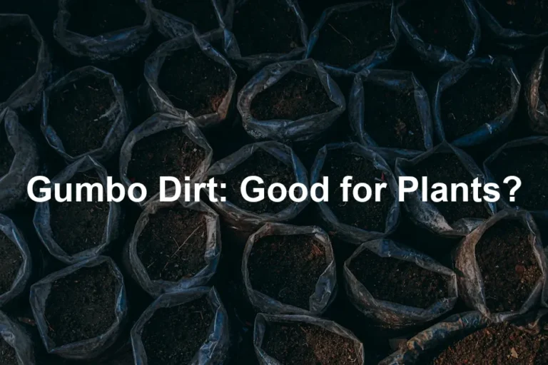 Featured image for Gumbo Dirt: Good for Plants?