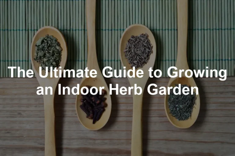 Featured image for The Ultimate Guide to Growing an Indoor Herb Garden