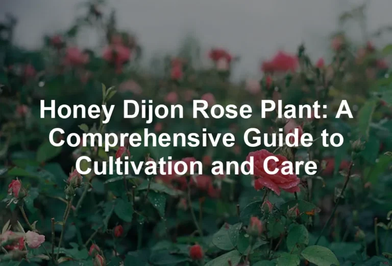 Featured image for Honey Dijon Rose Plant: A Comprehensive Guide to Cultivation and Care