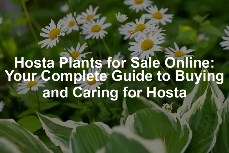 Featured image for Hosta Plants for Sale Online: Your Complete Guide to Buying and Caring for Hosta