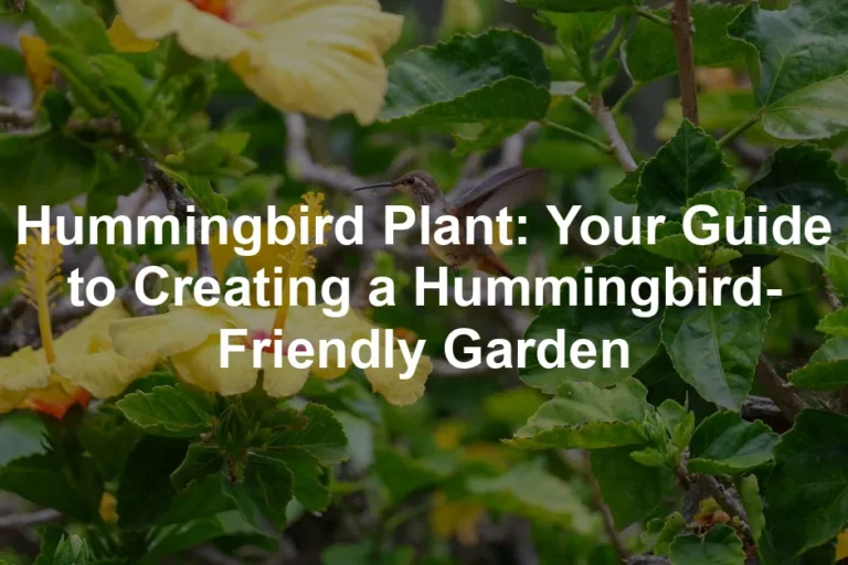 Featured image for Hummingbird Plant: Your Guide to Creating a Hummingbird-Friendly Garden