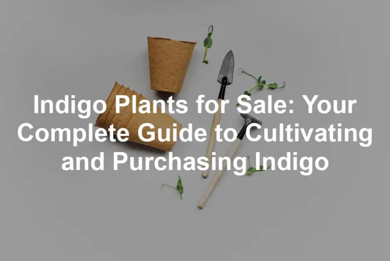 Featured image for Indigo Plants for Sale: Your Complete Guide to Cultivating and Purchasing Indigo