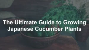 Featured image for The Ultimate Guide to Growing Japanese Cucumber Plants