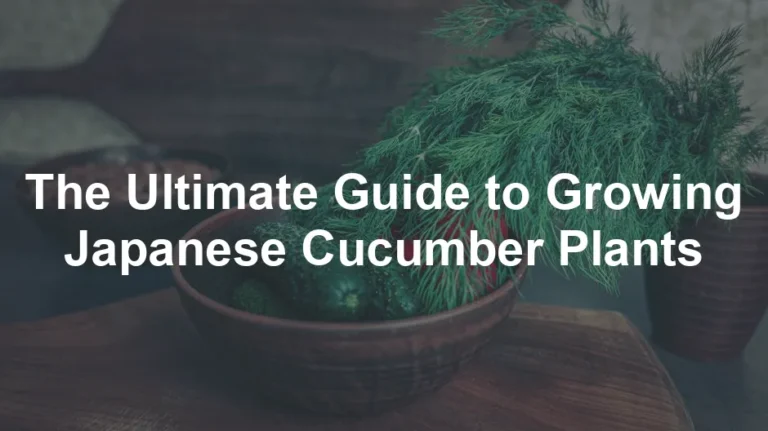 Featured image for The Ultimate Guide to Growing Japanese Cucumber Plants