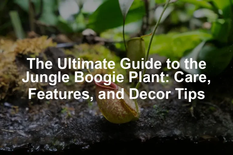 Featured image for The Ultimate Guide to the Jungle Boogie Plant: Care, Features, and Decor Tips