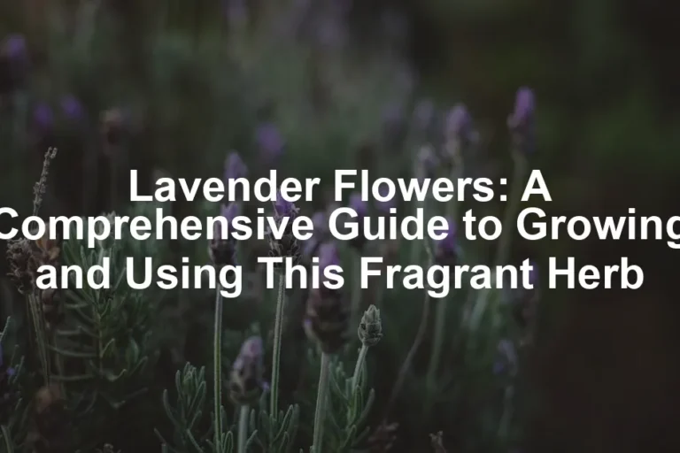Featured image for Lavender Flowers: A Comprehensive Guide to Growing and Using This Fragrant Herb