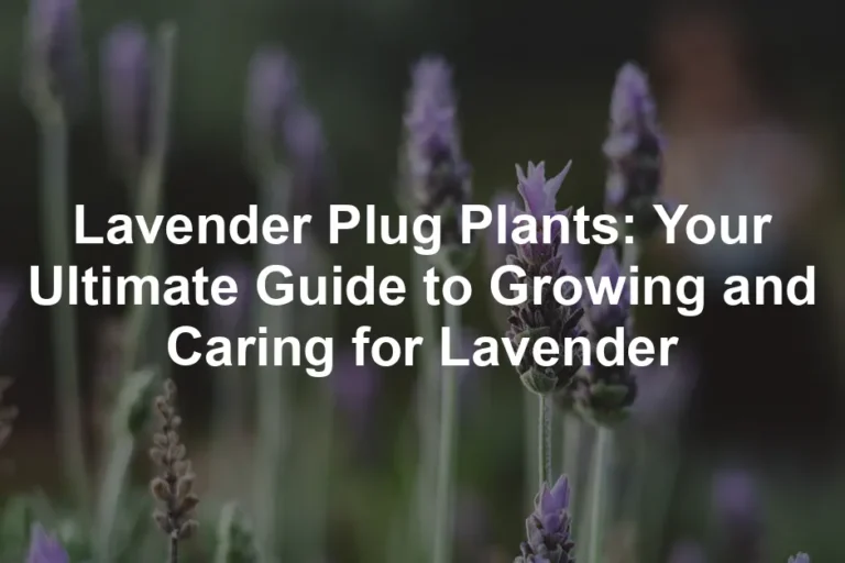 Featured image for Lavender Plug Plants: Your Ultimate Guide to Growing and Caring for Lavender