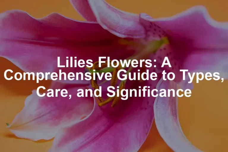 Featured image for Lilies Flowers: A Comprehensive Guide to Types, Care, and Significance