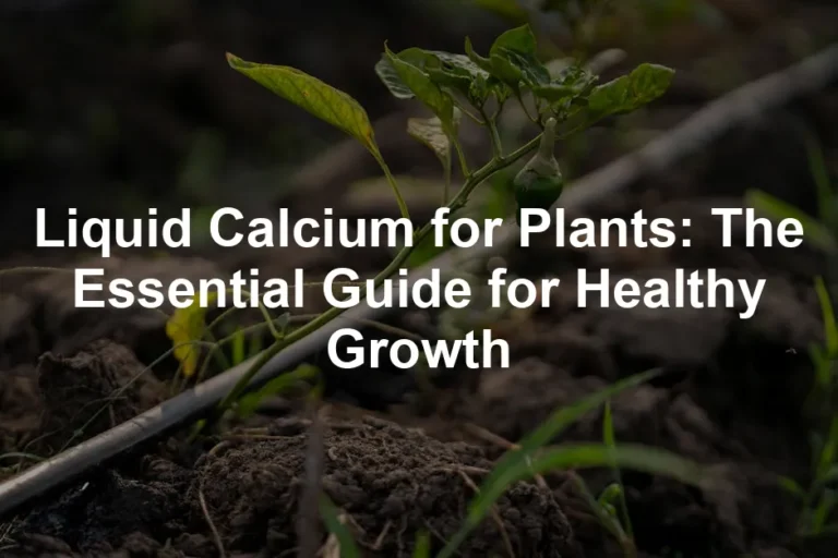 Featured image for Liquid Calcium for Plants: The Essential Guide for Healthy Growth
