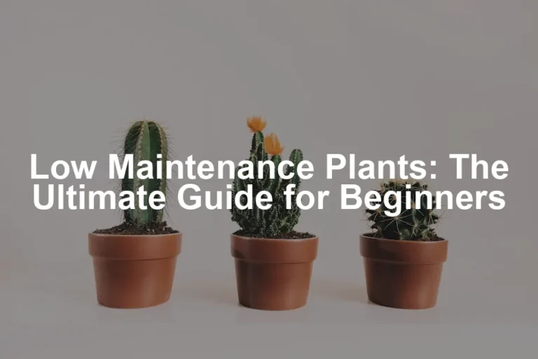 Featured image for Low Maintenance Plants: The Ultimate Guide for Beginners