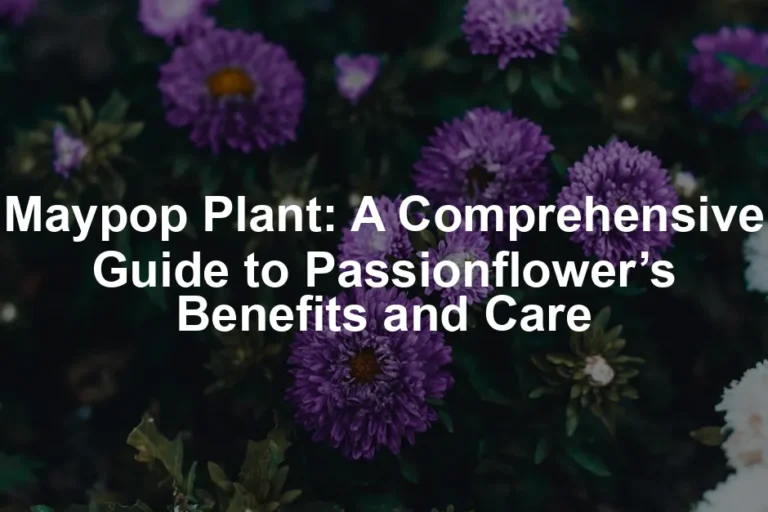 Featured image for Maypop Plant: A Comprehensive Guide to Passionflower’s Benefits and Care