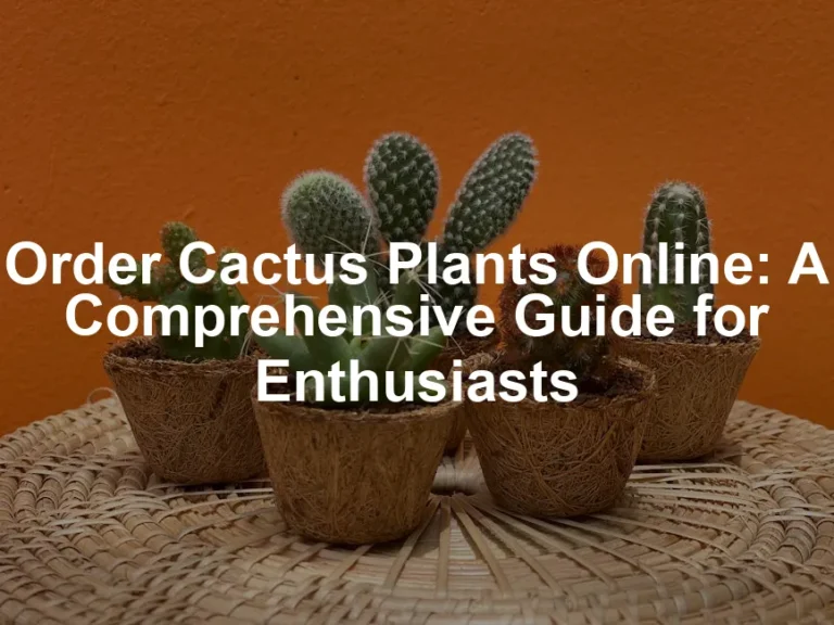Featured image for Order Cactus Plants Online: A Comprehensive Guide for Enthusiasts