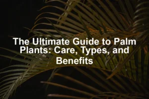 Featured image for The Ultimate Guide to Palm Plants: Care, Types, and Benefits
