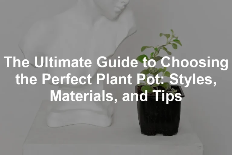 Featured image for The Ultimate Guide to Choosing the Perfect Plant Pot: Styles, Materials, and Tips