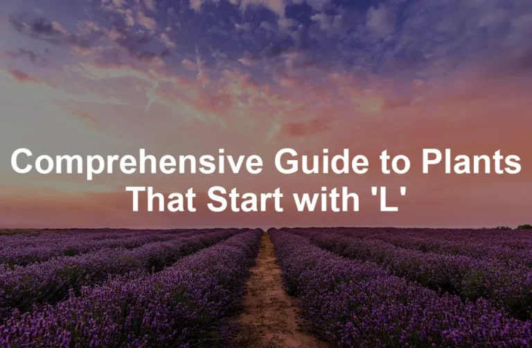 Featured image for Comprehensive Guide to Plants That Start with 'L'