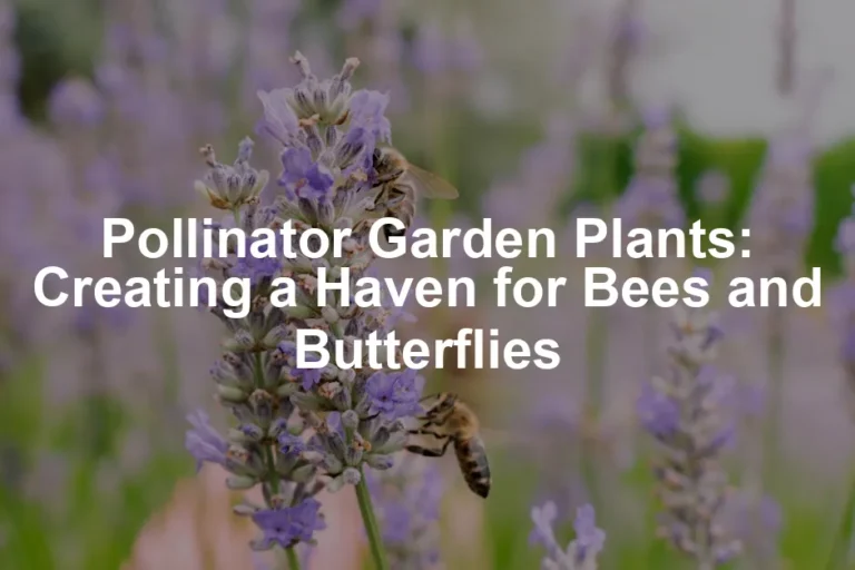 Featured image for Pollinator Garden Plants: Creating a Haven for Bees and Butterflies