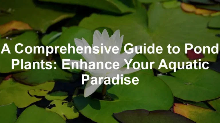 Featured image for A Comprehensive Guide to Pond Plants: Enhance Your Aquatic Paradise