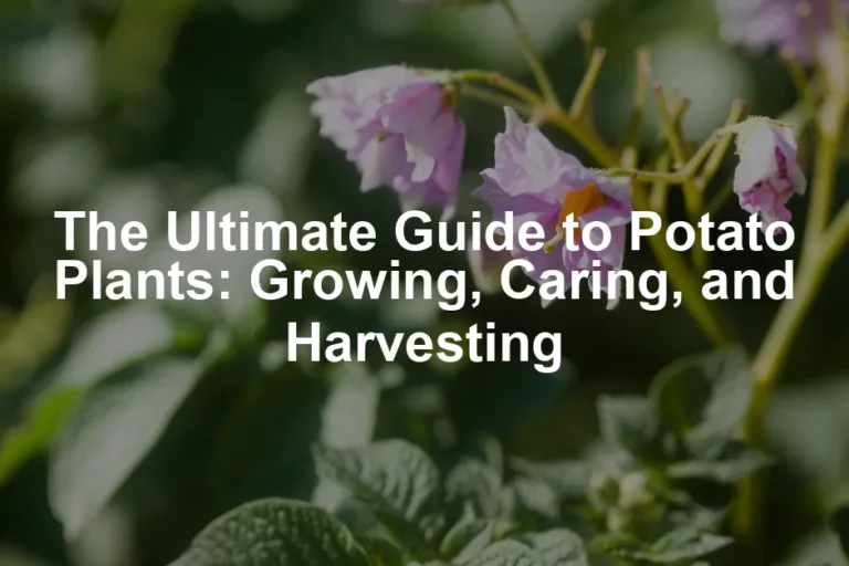 Featured image for The Ultimate Guide to Potato Plants: Growing, Caring, and Harvesting