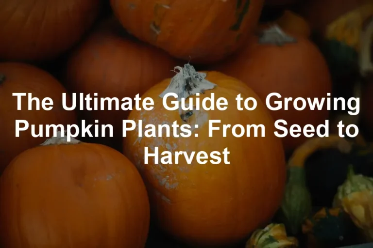Featured image for The Ultimate Guide to Growing Pumpkin Plants: From Seed to Harvest