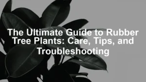 Featured image for The Ultimate Guide to Rubber Tree Plants: Care, Tips, and Troubleshooting