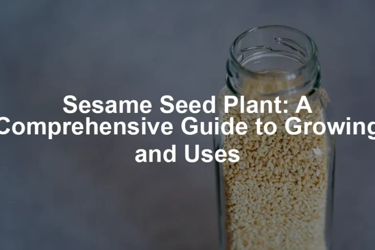 Featured image for Sesame Seed Plant: A Comprehensive Guide to Growing and Uses