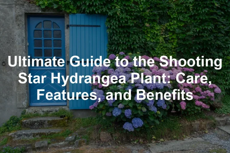 Featured image for Ultimate Guide to the Shooting Star Hydrangea Plant: Care, Features, and Benefits