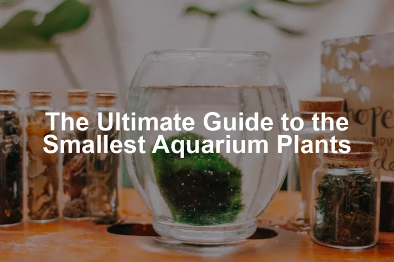 Featured image for The Ultimate Guide to the Smallest Aquarium Plants