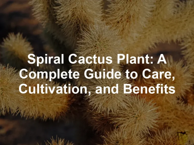Featured image for Spiral Cactus Plant: A Complete Guide to Care, Cultivation, and Benefits