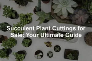 Featured image for Succulent Plant Cuttings for Sale: Your Ultimate Guide