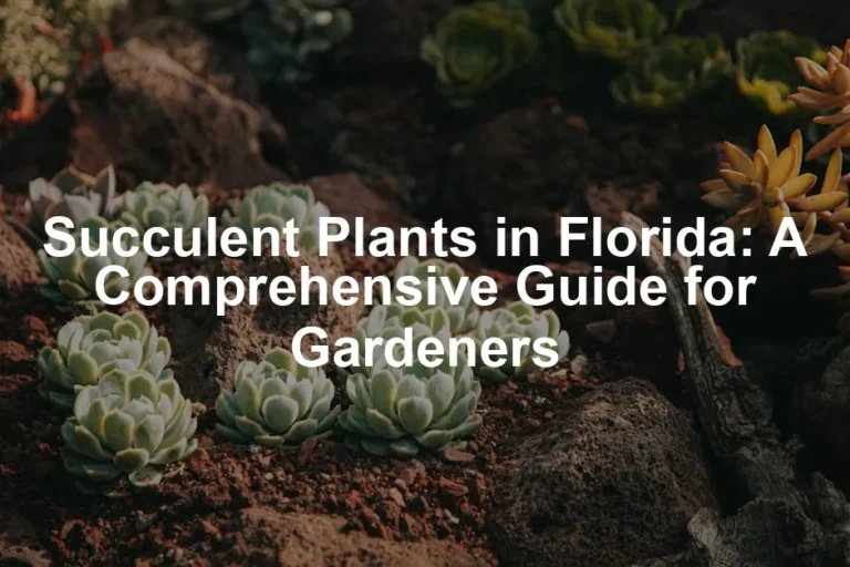 Featured image for Succulent Plants in Florida: A Comprehensive Guide for Gardeners