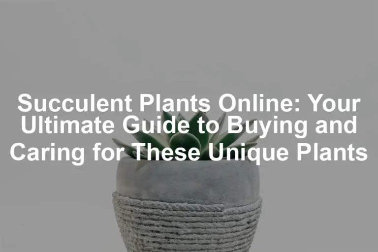 Featured image for Succulent Plants Online: Your Ultimate Guide to Buying and Caring for These Unique Plants