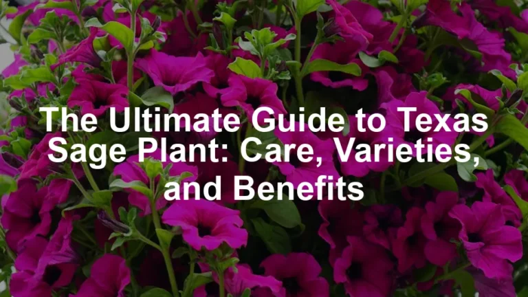 Featured image for The Ultimate Guide to Texas Sage Plant: Care, Varieties, and Benefits