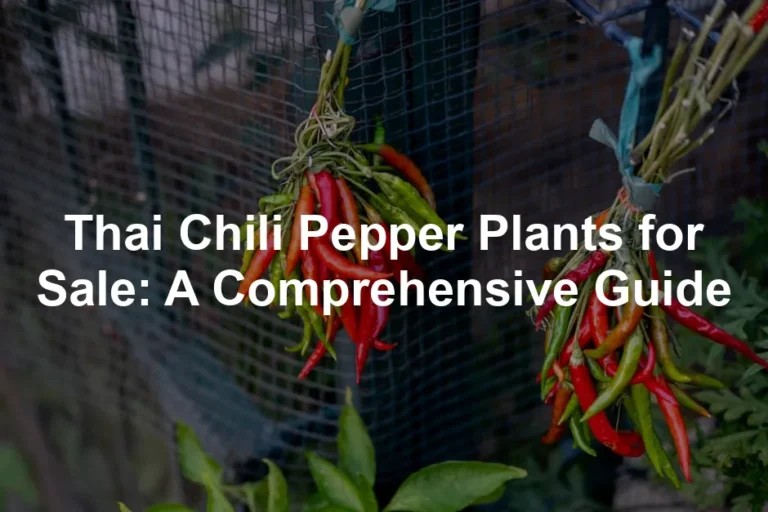 Featured image for Thai Chili Pepper Plants for Sale: A Comprehensive Guide