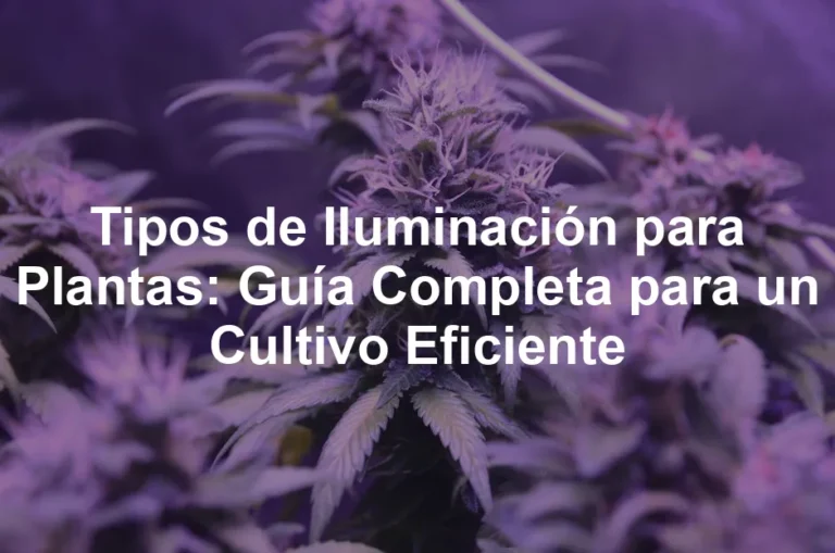 Featured image for Tipos de Iluminación para Plantas: Guía Completa para un Cultivo Eficiente