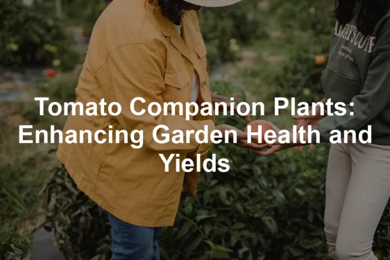 Featured image for Tomato Companion Plants: Enhancing Garden Health and Yields