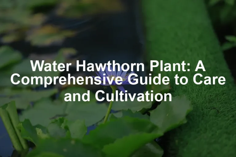 Featured image for Water Hawthorn Plant: A Comprehensive Guide to Care and Cultivation