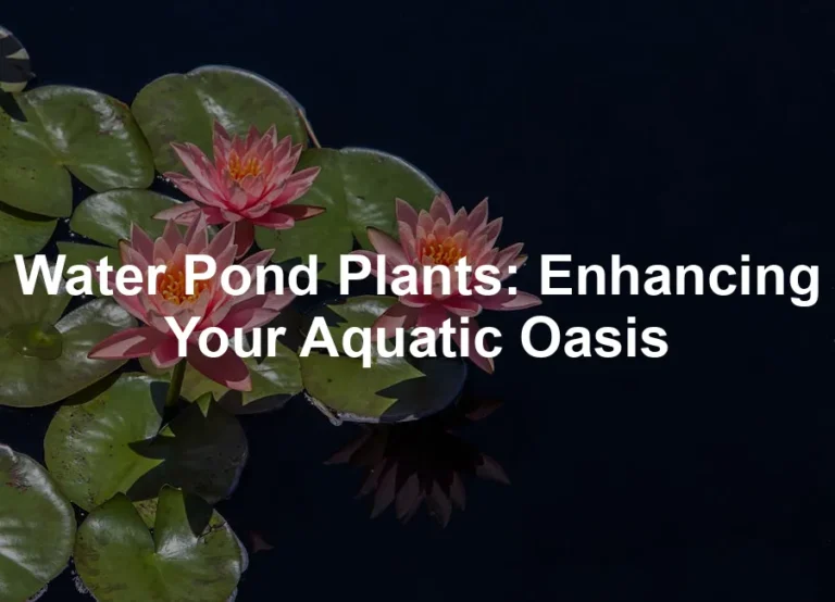 Featured image for Water Pond Plants: Enhancing Your Aquatic Oasis