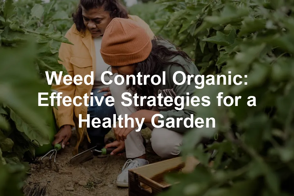 Featured image for Weed Control Organic: Effective Strategies for a Healthy Garden