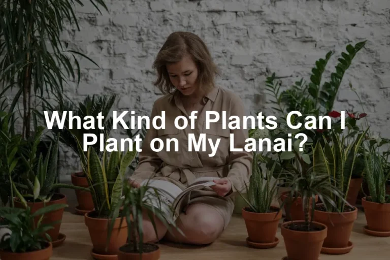 Featured image for What Kind of Plants Can I Plant on My Lanai?