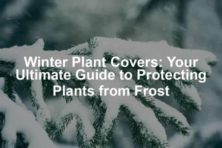 Featured image for Winter Plant Covers: Your Ultimate Guide to Protecting Plants from Frost