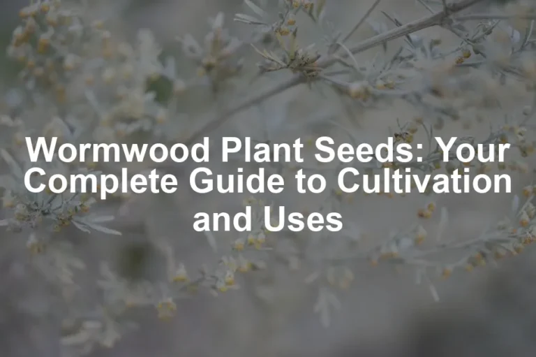 Featured image for Wormwood Plant Seeds: Your Complete Guide to Cultivation and Uses